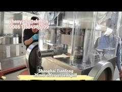 ZP17B куриный кубик эфирные таблетки таблетки пресс-машина